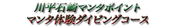 Vm[PO1