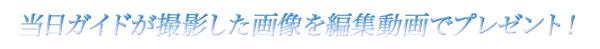 Vm[PO2
